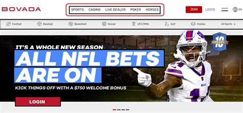 bovada sportsbook log in.